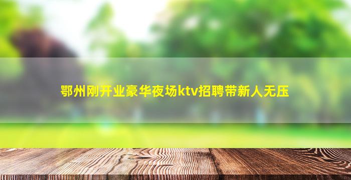鄂州刚开业豪华夜场ktv招聘带新人无压